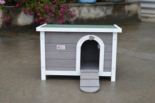 Rabbit guinea pig - pig, hide