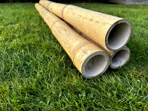 Long lengths natural apus - natural,