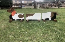 Show jump Fillers. Brown and