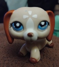 Littlest Pet Shop #1491 Cream