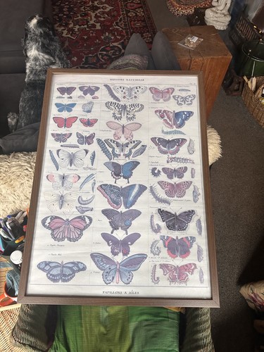 Vintage framed artwork poster - framed,