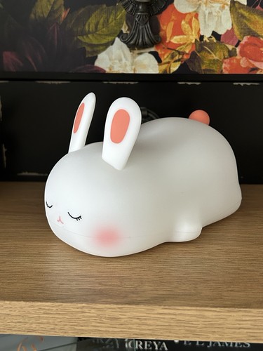 Kids night light - night, animal