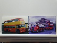Vintage Photos Of Buses x10