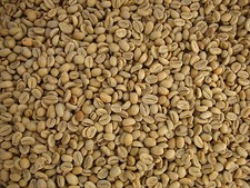 Green Coffee Beans RAW