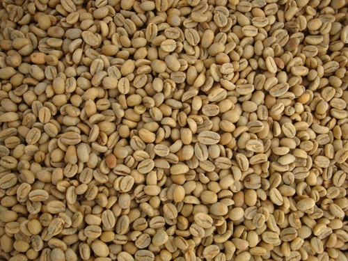 Green coffee beans raw - coffee,