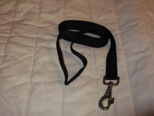 Dog lead rein - lead,