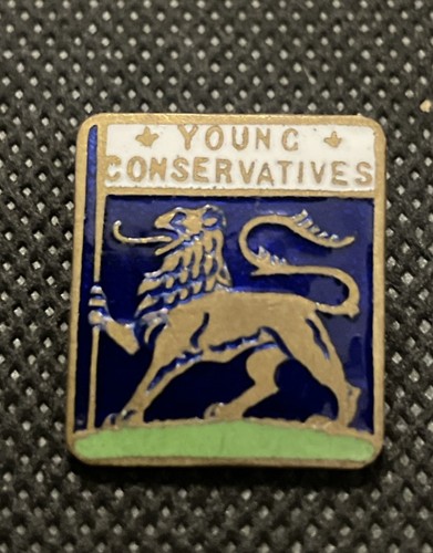 Young conservatives enamel - young, pin
