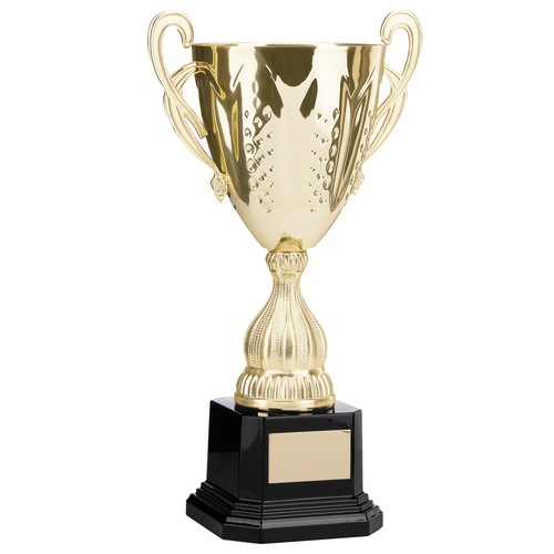Large gold presentation cup - large,