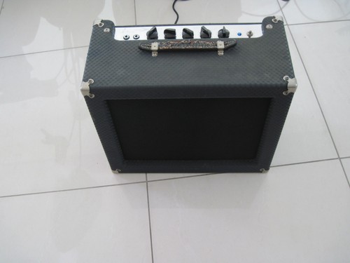 Vintage ampeg jet j12 - jet,