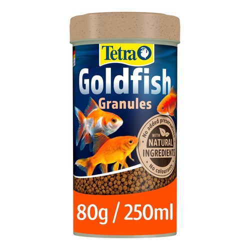 Tetra goldfish fish - goldfish,