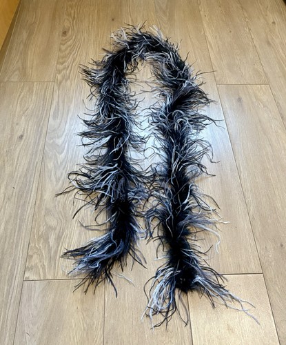 Black white striped ostrich - striped,