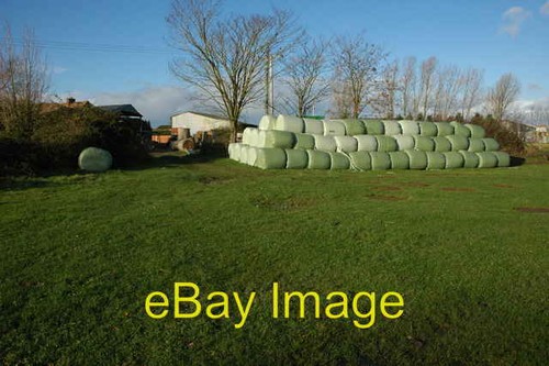 Photo 6x4 silage - photo,