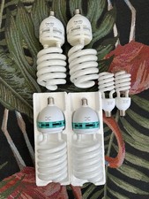 Photography / Videography