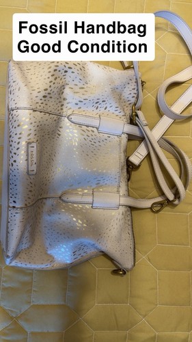 Fossil cream and - fossil,