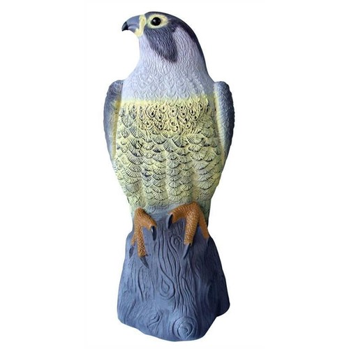 Falcon bird deterrent - falcon,