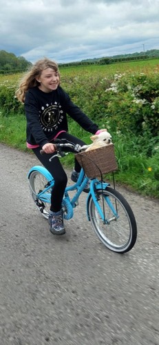 Dawes lil duchess - dawes, bike