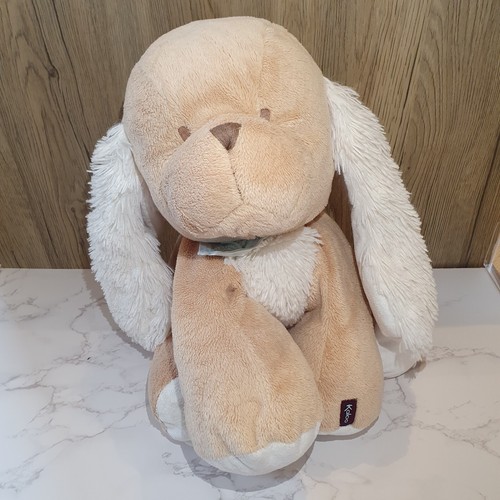 Kaloo dog puppy - puppy, beige