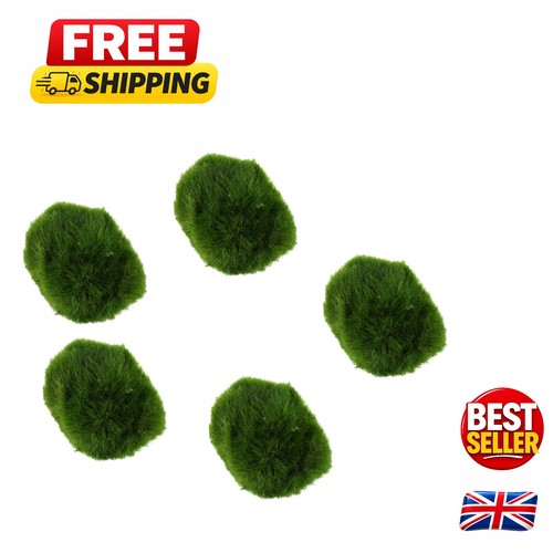 Mini live marimo - 5,
