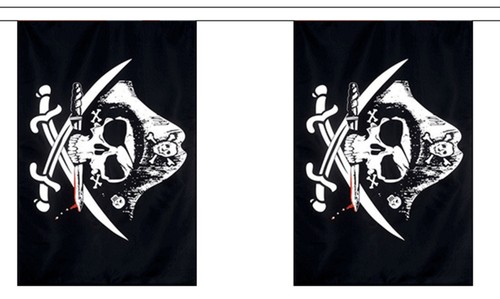 Crossed sabres pirate bunting - sabres,