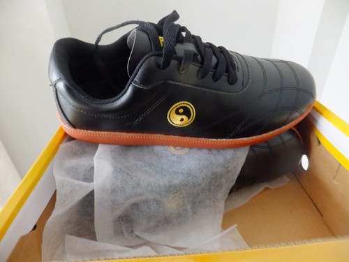 Tai chi shoes - chi, new