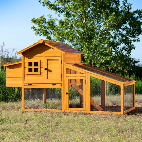 Chicken coop run hen house - chicken,