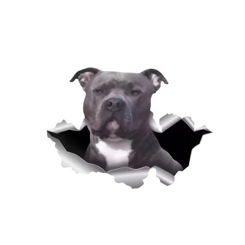 Pit bull terrier car sticker - pit,