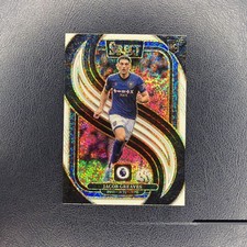 Panini Select 2024-25 Premier