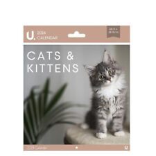 2024 Cats & Kittens Calendar 28.5 x 28.5cm