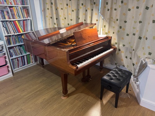 Bluthner model grand piano - bluthner,
