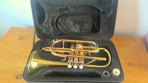 Elkhart 100cr cornet - elkhart, by