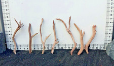 Aquarium Driftwood Branch