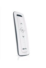 Situo 1 RTS Pure II Somfy