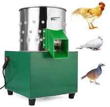 Small Chicken Dove Feather