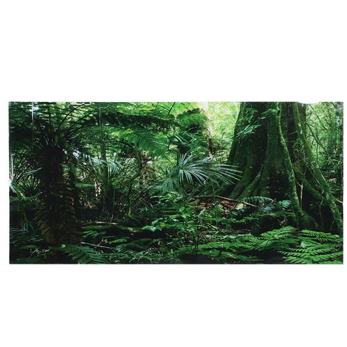 Pvc reptile box rainforest - reptile,