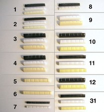 6 & 12 string Bass, Electric