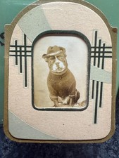 Vintage Artistic Photobooth Photo Boston Terrier Dog Wearing a Hat 1930s