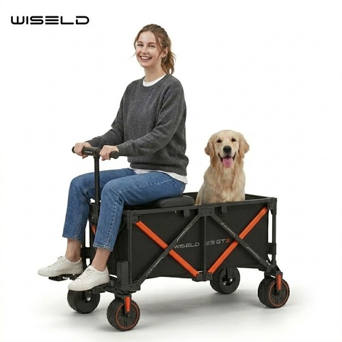 Wiseld gt3 electric ridable - wiseld,