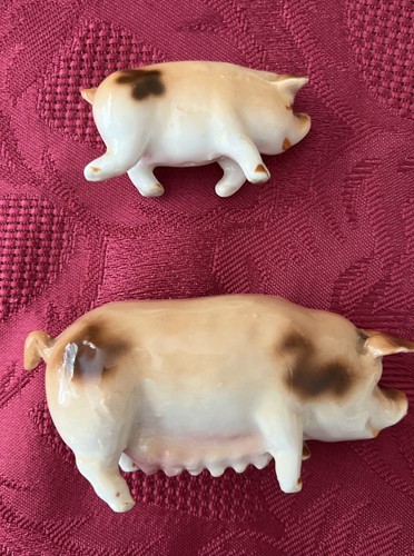 Vintage rare fine - rare, bone