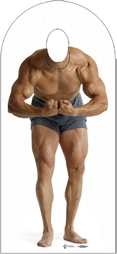 Cardboard people muscle man - people,
