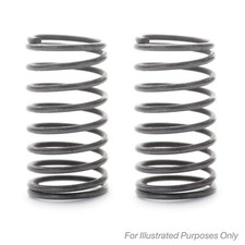 2x Coil Springs (Pair) For