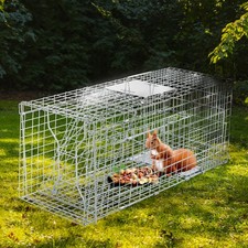 31" Heavy Duty Live Animal Cage Trap Iron Folding Cat Raccoon Rabbit Trap Catche