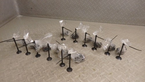 Triumph thunderbird 900 valves - thunderbird,