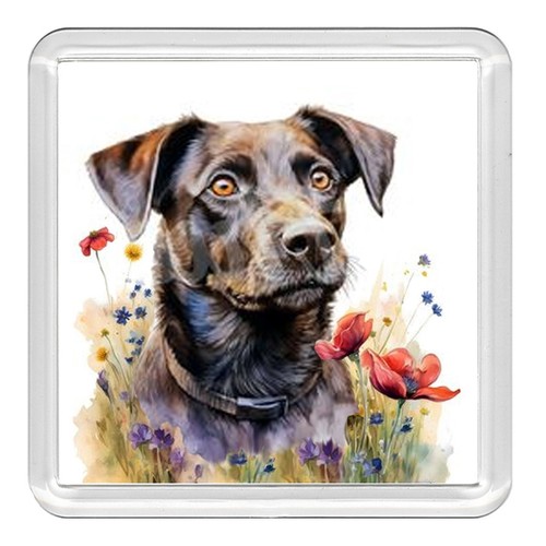 Patterdale terrier dog acrylic - terrier,