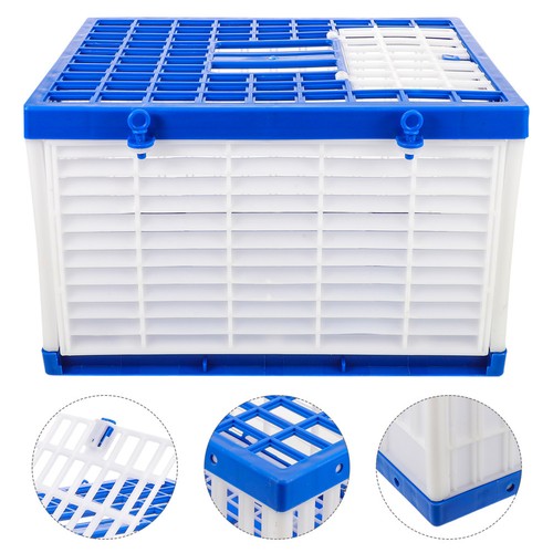 Pigeon release box for homing - pigeon,