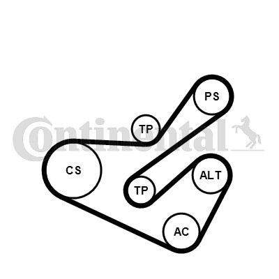 Continental ctam 6pk1740k1 - continental,