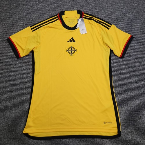 Northern ireland football - northern,