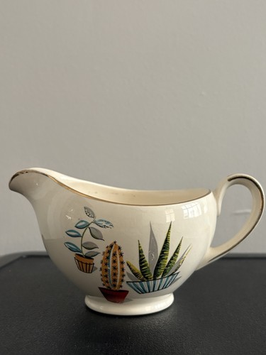 Alfred meakin cactus - cactus,