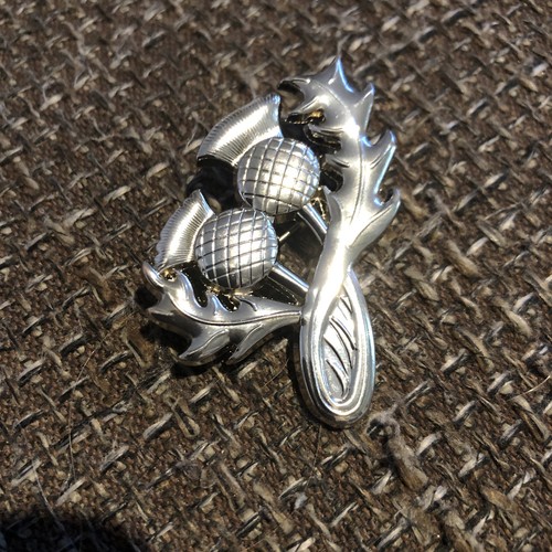 Scottish silvertone thistle - silvertone,