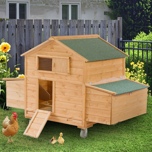 Wooden chicken coop - coop, hen