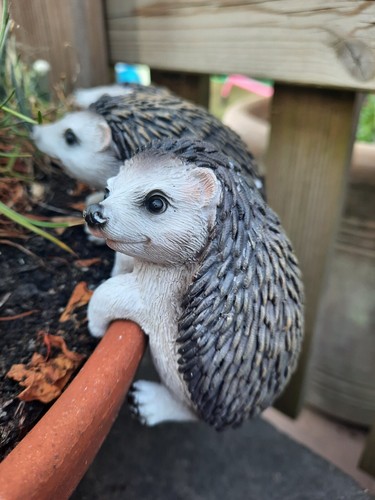 Garden pot hedgehog hanger - garden,
